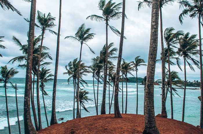 Mirissa Sri Lanka
