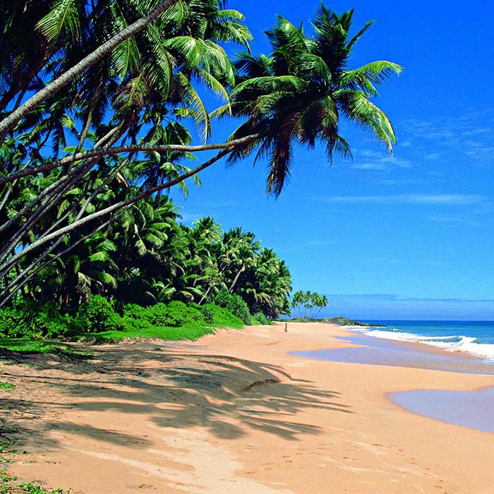 Sri Lanka best destination